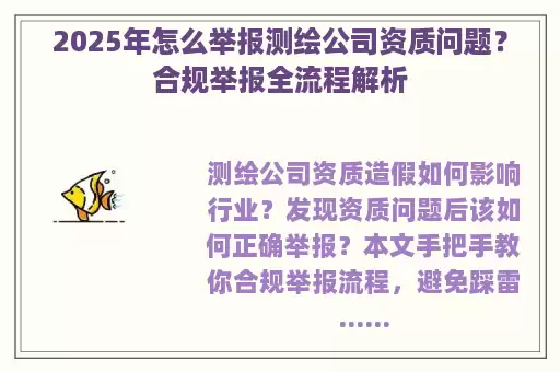 2025年怎么举报测绘公司资质问题？合规举报全流程解析