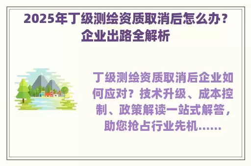 2025年丁级测绘资质取消后怎么办？企业出路全解析