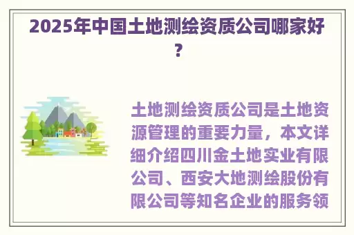 2025年中国土地测绘资质公司哪家好？