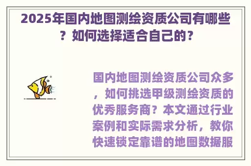 2025年国内地图测绘资质公司有哪些?如何选择适合自己的?